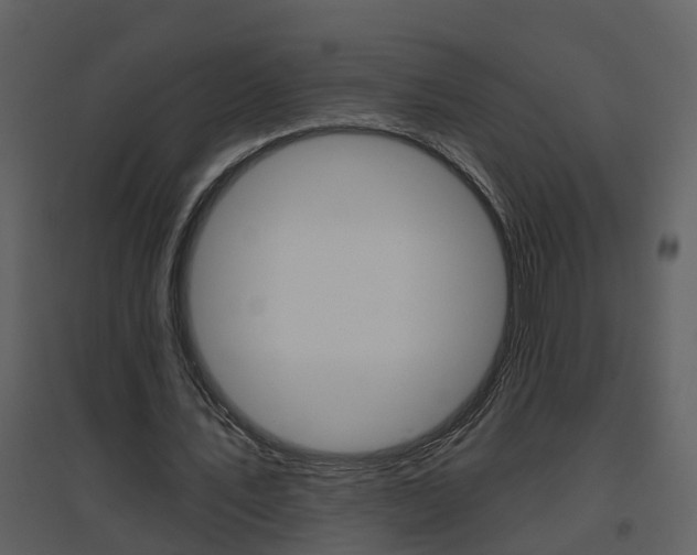 X0000094790579200711160919