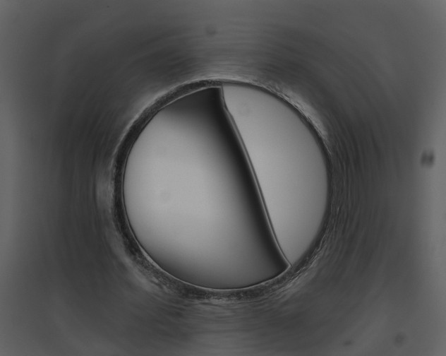 X0000094790580200711160919