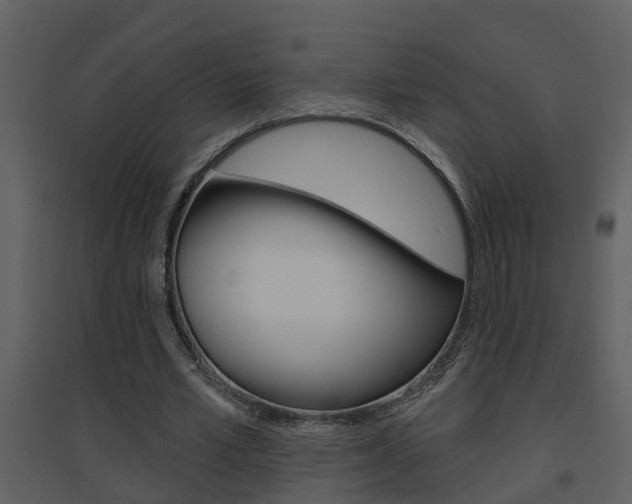 X0000094790581200711160919