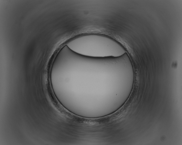 X0000094790582200711160919