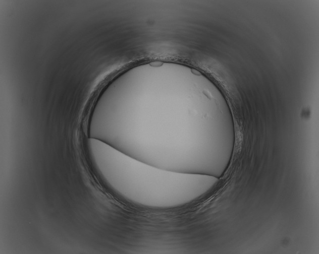 X0000094790583200711160919
