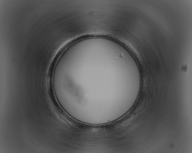 X0000094790584200711160919