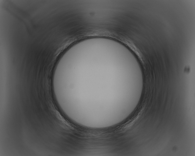 X0000094790585200711160919