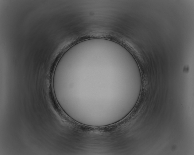 X0000094790586200711160919