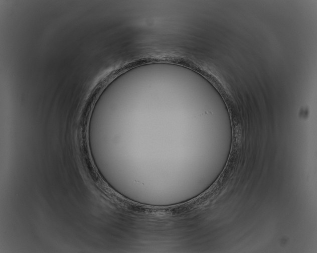 X0000094790587200711160919