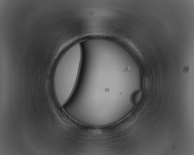 X0000094790588200711160919