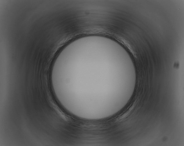 X0000094790589200711160919