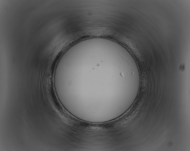 X0000094790590200711160919