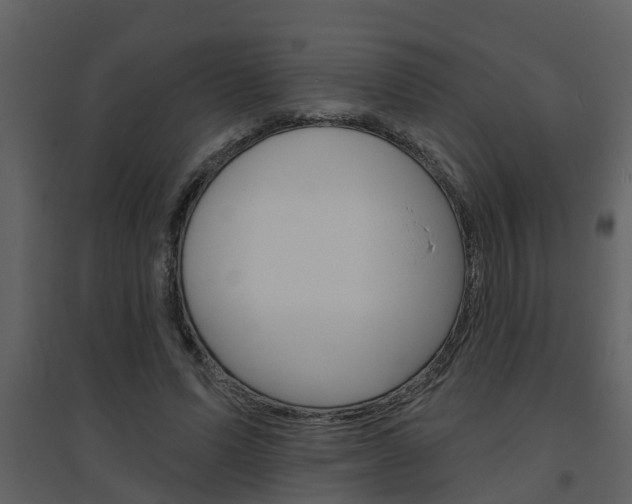 X0000094790591200711160919