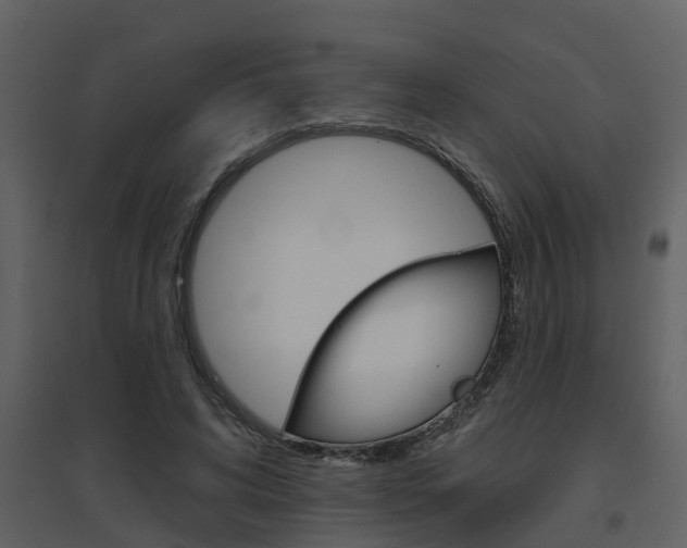 X0000094790592200711160919