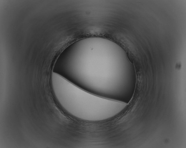 X0000094790593200711160919