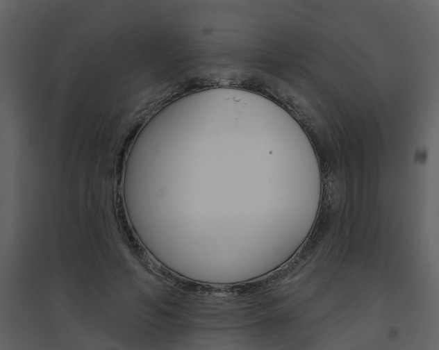 X0000094790594200711160919