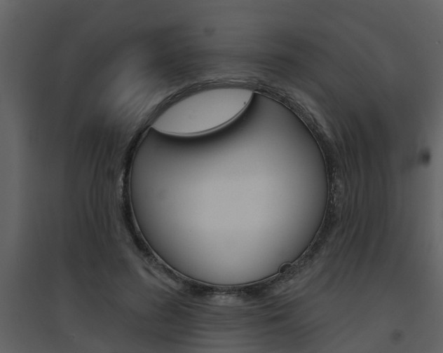 X0000094790596200711160919