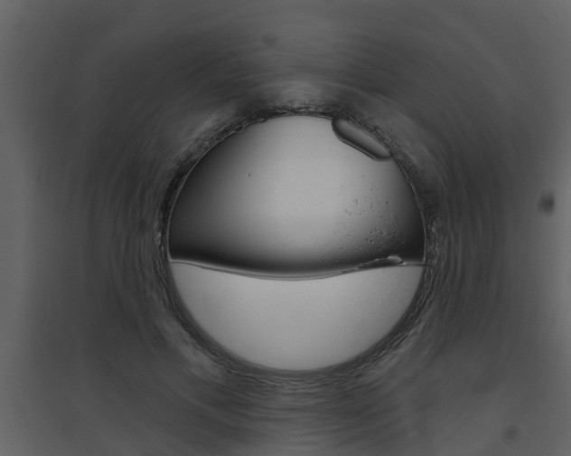 X0000094790597200711160919