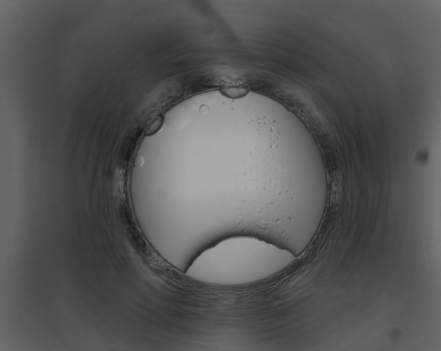 X0000094790598200711160919