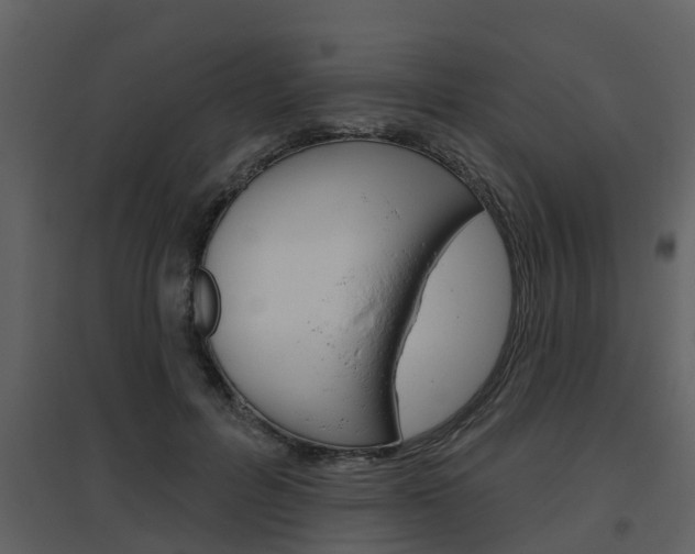 X0000094790600200711160919