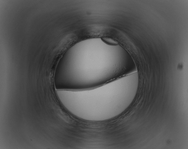 X0000094790601200711160919