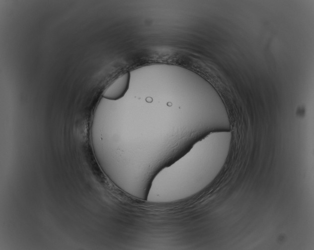 X0000094790602200711160919