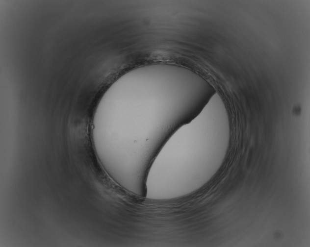 X0000094790603200711160919