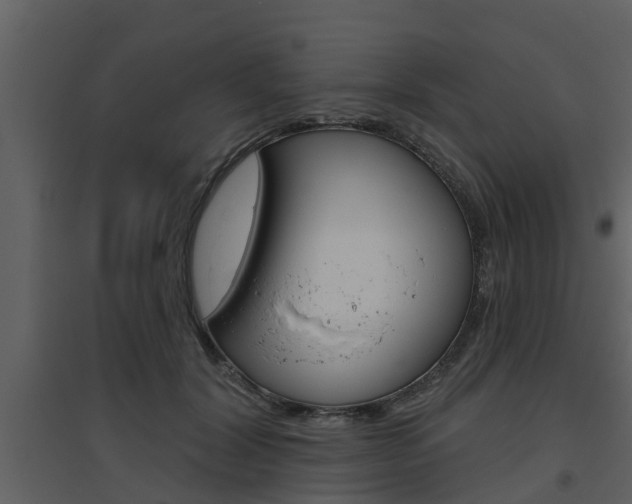 X0000094790604200711160918