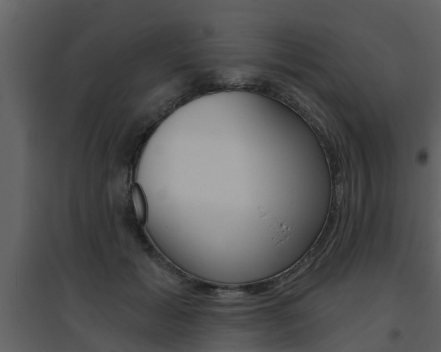 X0000094790605200711160918
