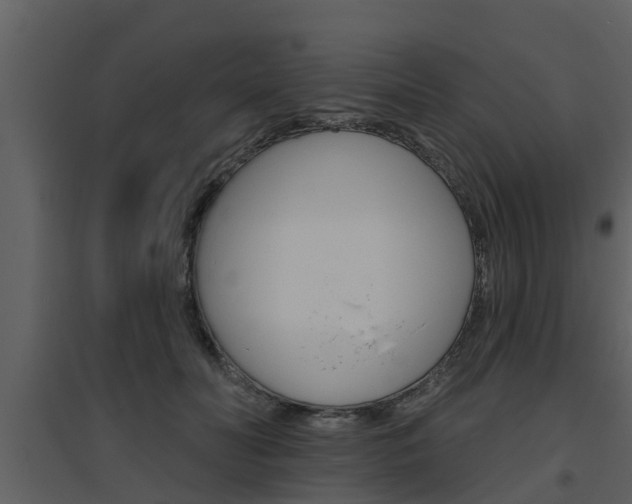 X0000094790606200711160918
