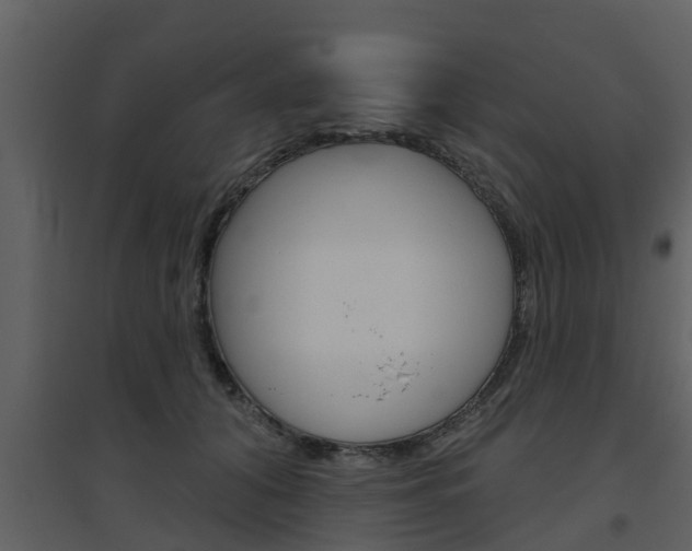 X0000094790608200711160918