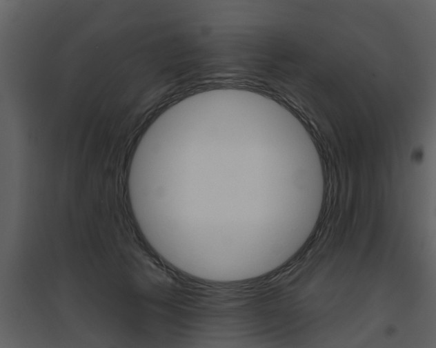 X0000094790609200711160918