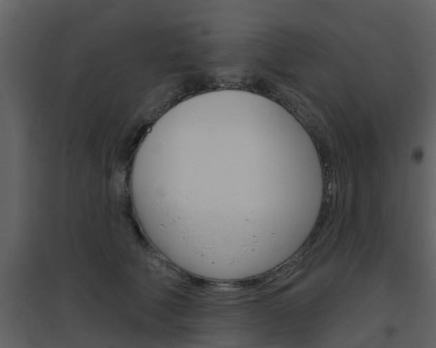 X0000094790610200711160918