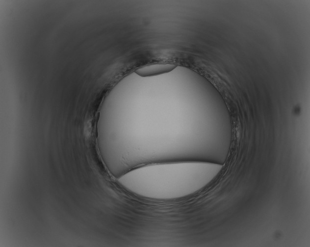 X0000094790611200711160918