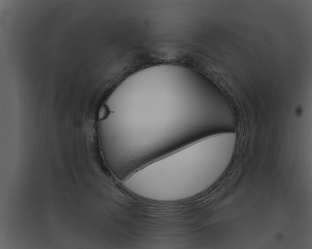 X0000094790612200711160918