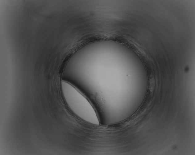X0000094790613200711160918