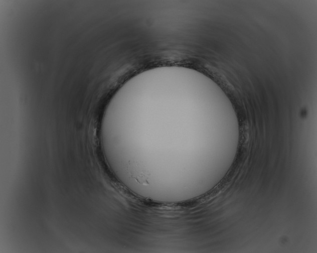 X0000094790615200711160918