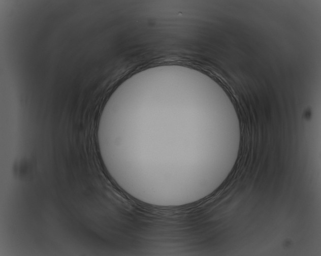 X0000094790617200711160918