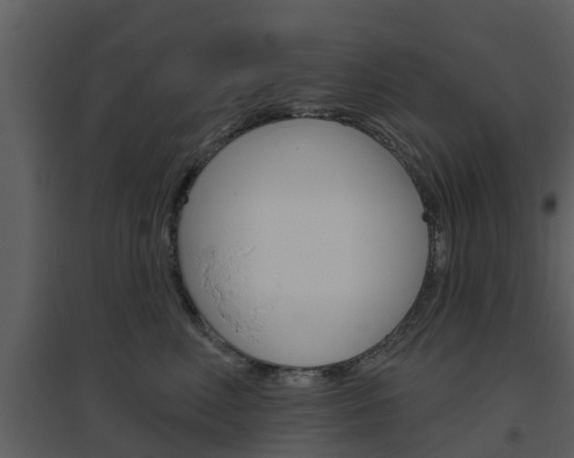 X0000094790618200711160918