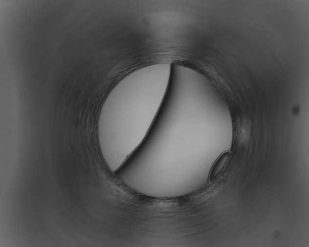 X0000094790619200711160918