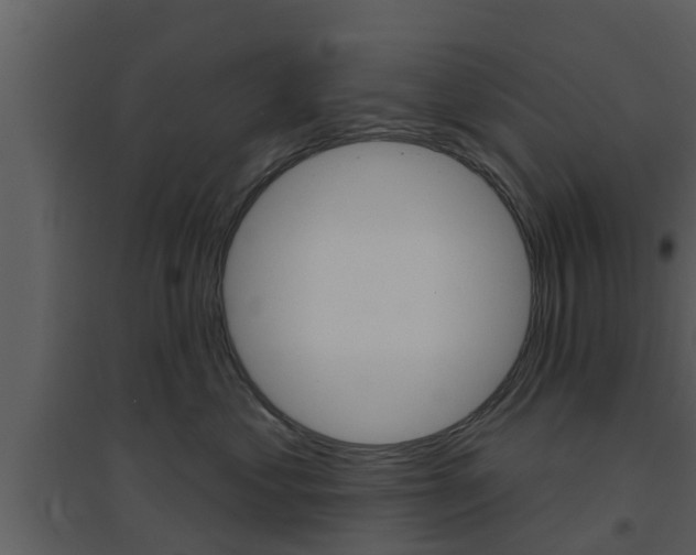 X0000094790621200711160918
