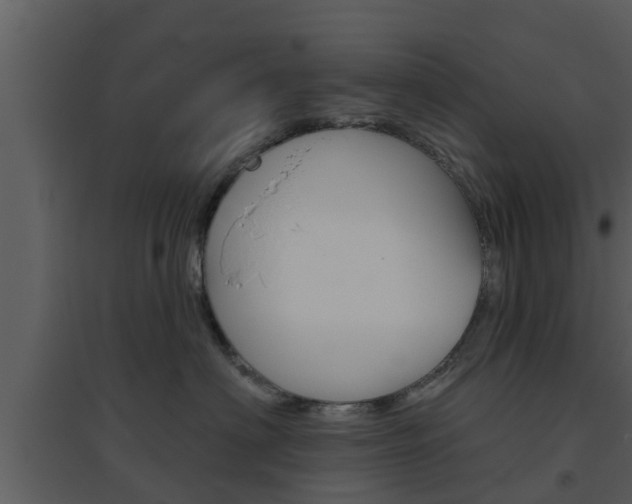X0000094790622200711160918