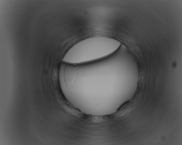 X0000094790623200711160918
