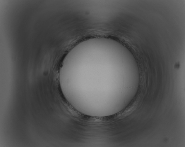X0000094790624200711160918