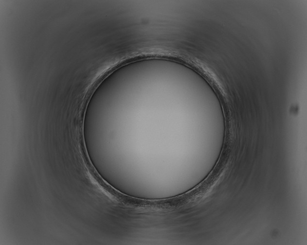 X0000094790625200711160917