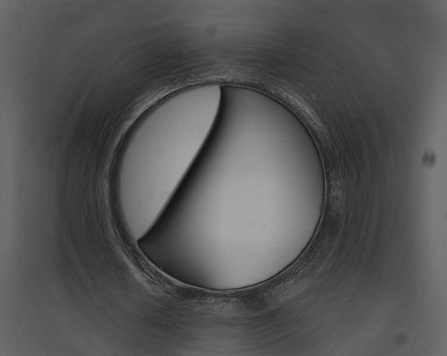 X0000094790626200711160917