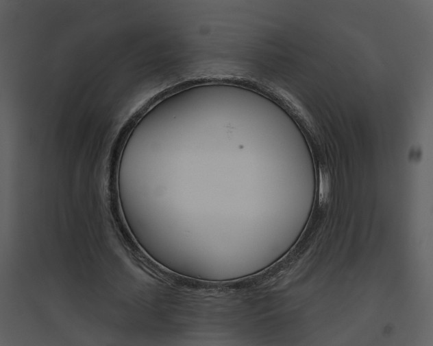 X0000094790627200711160917