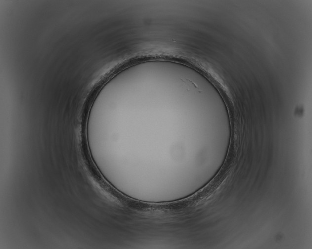 X0000094790629200711160917