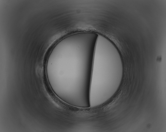 X0000094790630200711160917