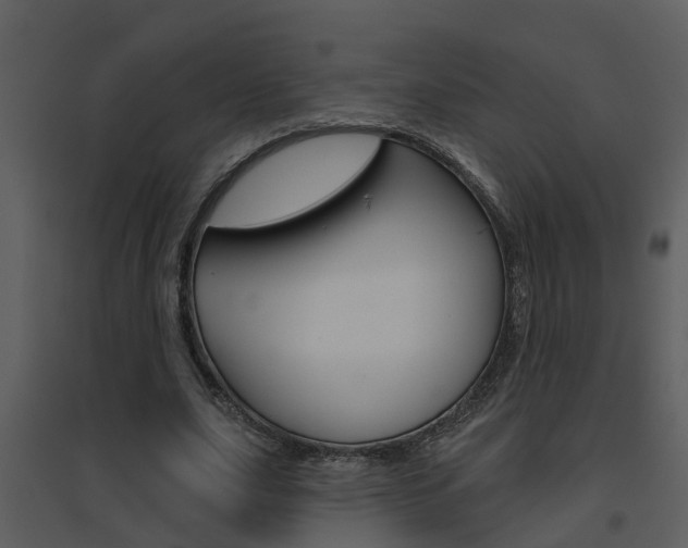 X0000094790631200711160917