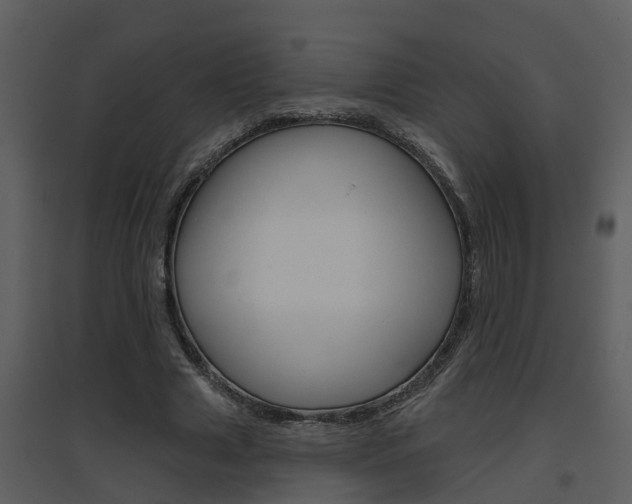 X0000094790633200711160917