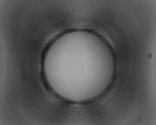 X0000094790635200711160918