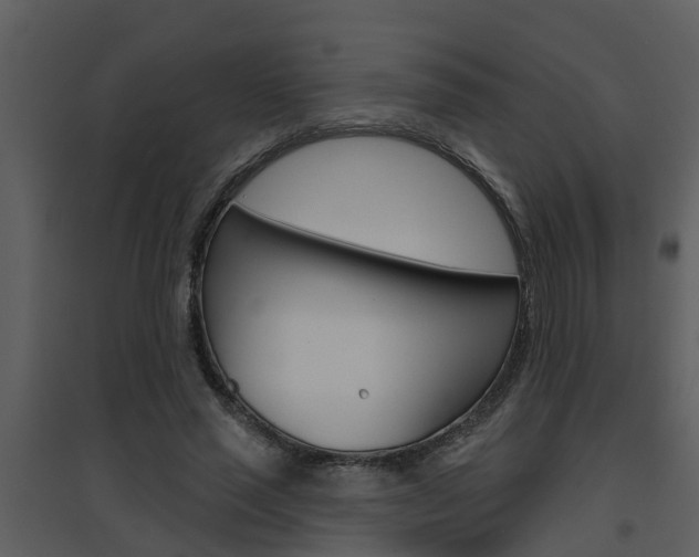 X0000094790637200711160918