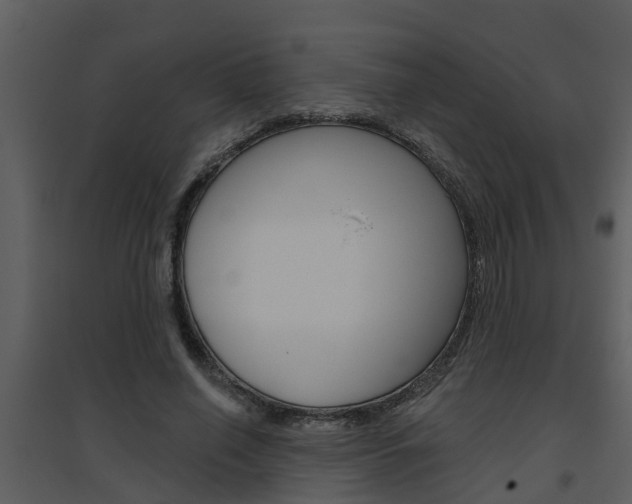 X0000094790638200711160918